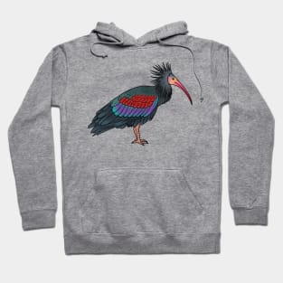 Northern bald ibis bird cartoon illustration Hoodie